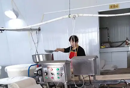 双层豆皮机